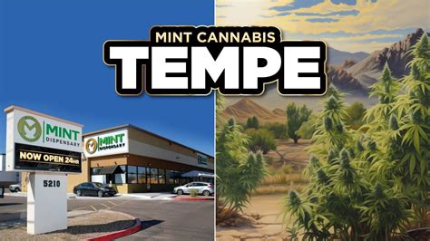 dispensary deals tempe